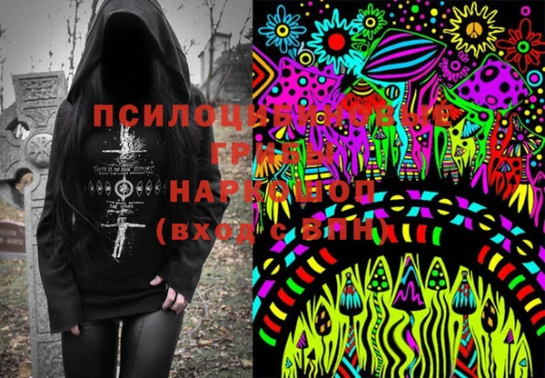 эйфоретик Богородицк