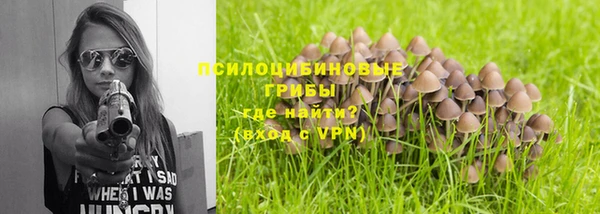 эйфоретик Богородицк