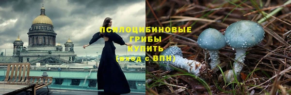 первитин Богородск